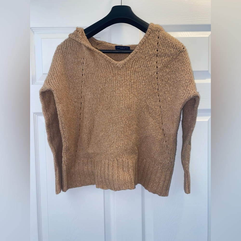 Brown American Eagle hooded sweater.